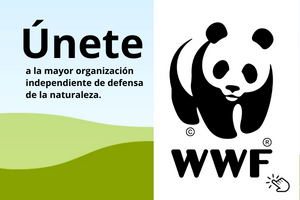 WWF España