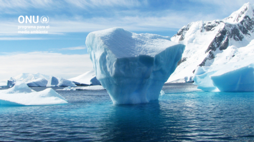 Nadando bajo el hielo de la Antártida