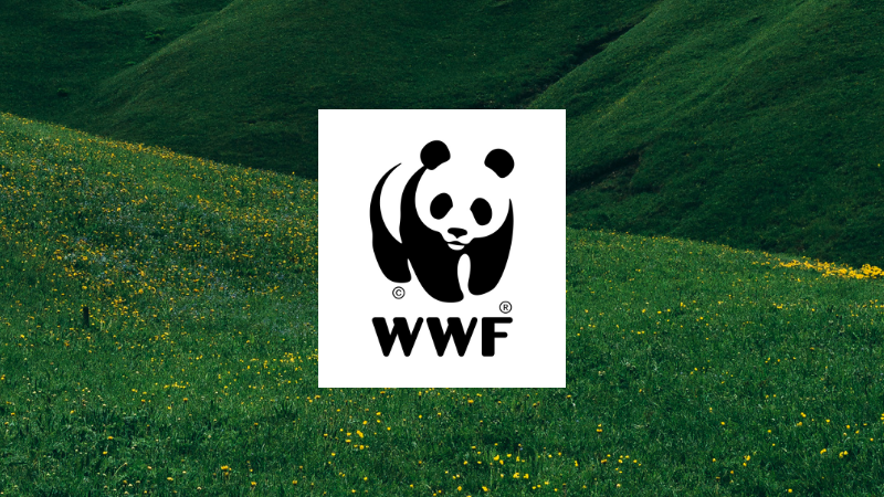 WWF Spain Channel (Active)