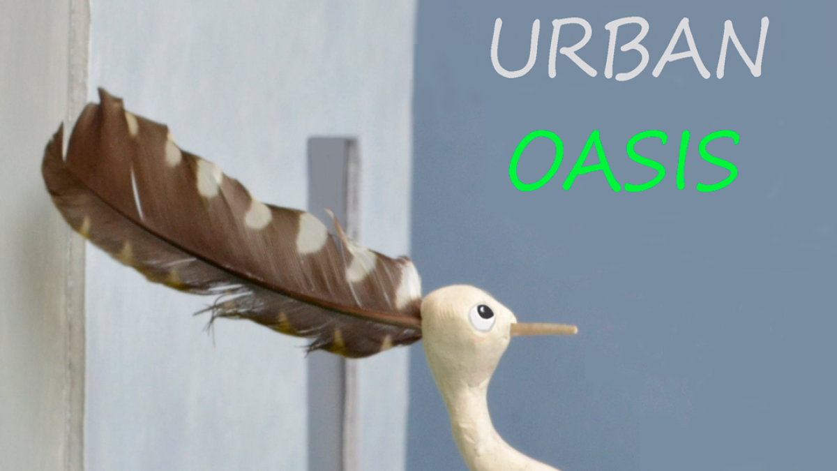 '.Urban Oasis.'